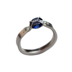 Harness Ring