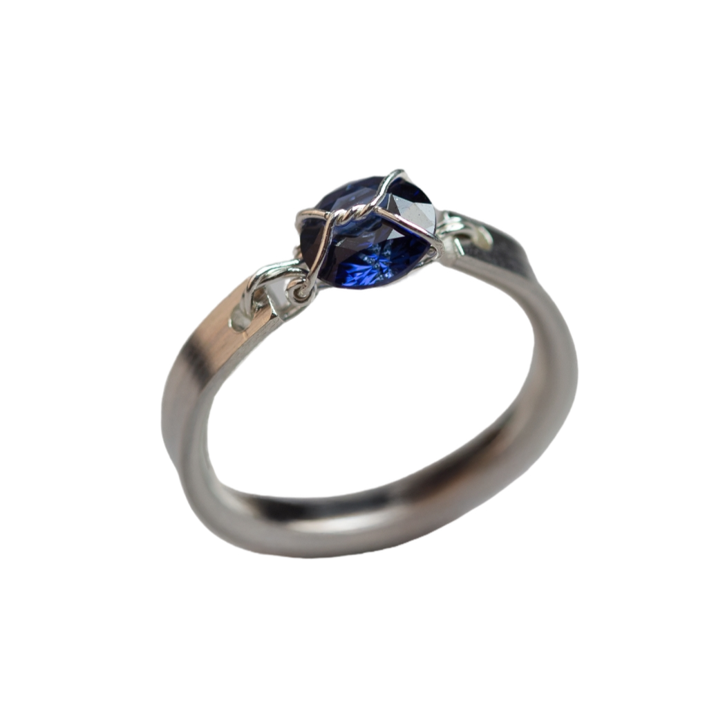 Harness Ring