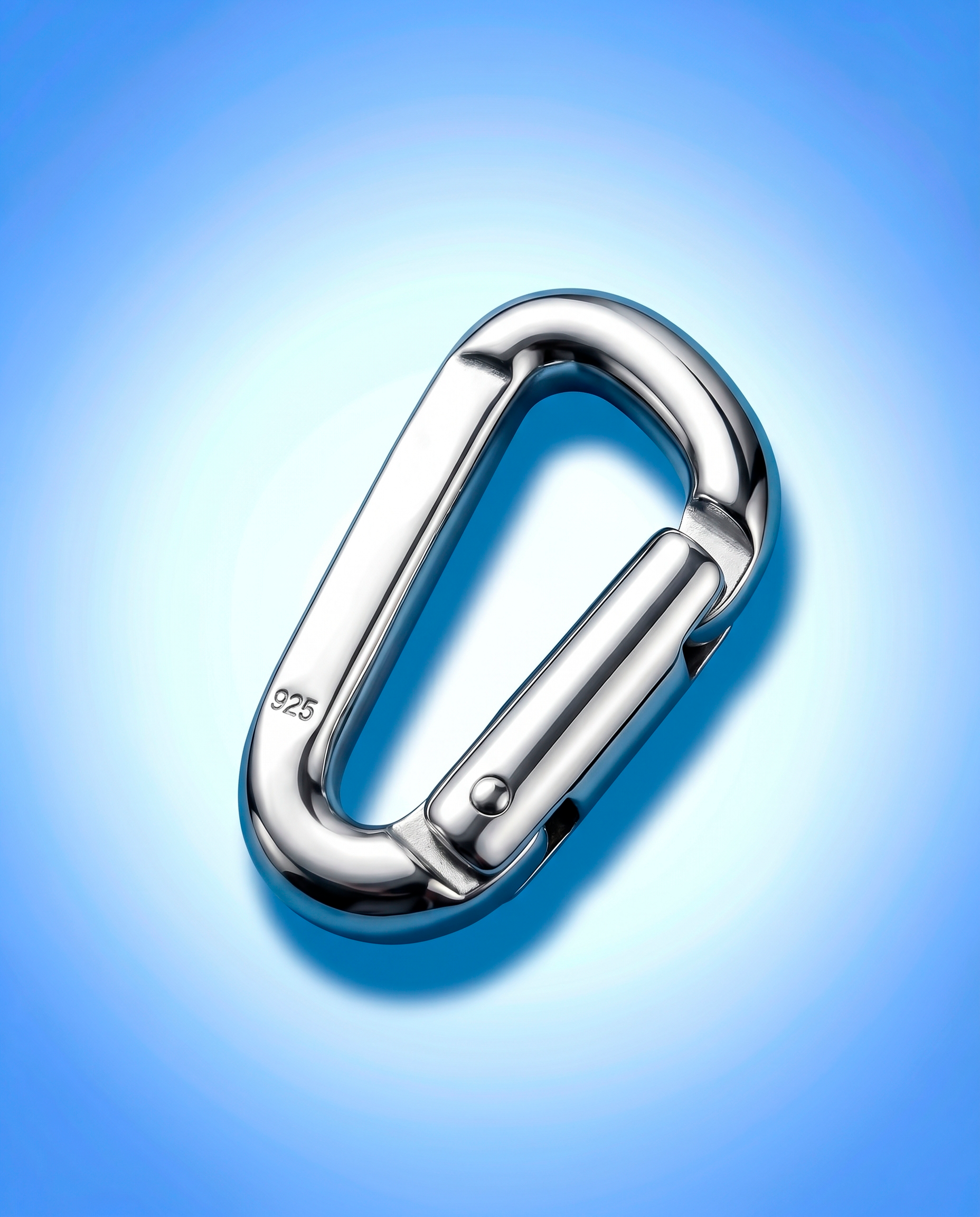 Silver Carabiner