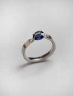 Harness Ring