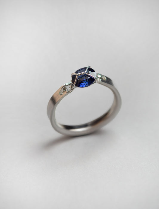 Harness Ring