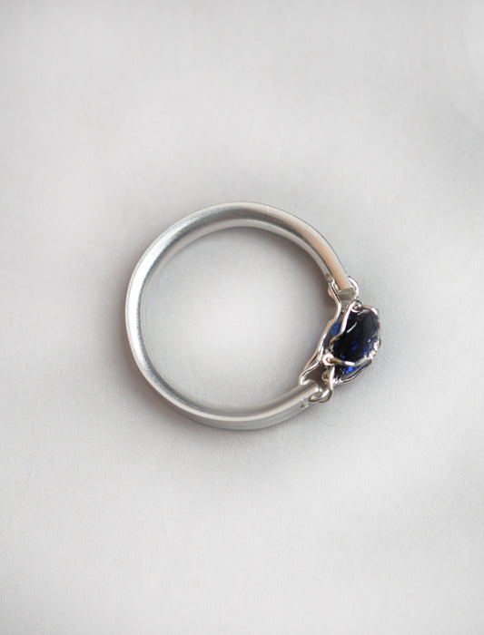 Harness Ring